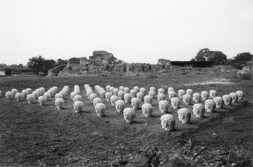 'Greek Field' 1999/2023 Sant’Agata de’Goti